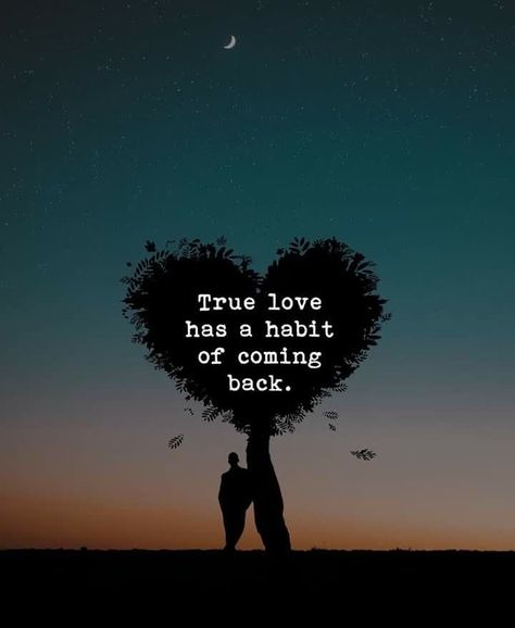 True Love Has A Habit Of Coming Back, True Love Comes Back Quotes, Come Back Quotes, Love Relationship Quotes, Quote About Love, Anniversary Wishes For Husband, Life Quotes Relationships, Future Science, Love Comes Back