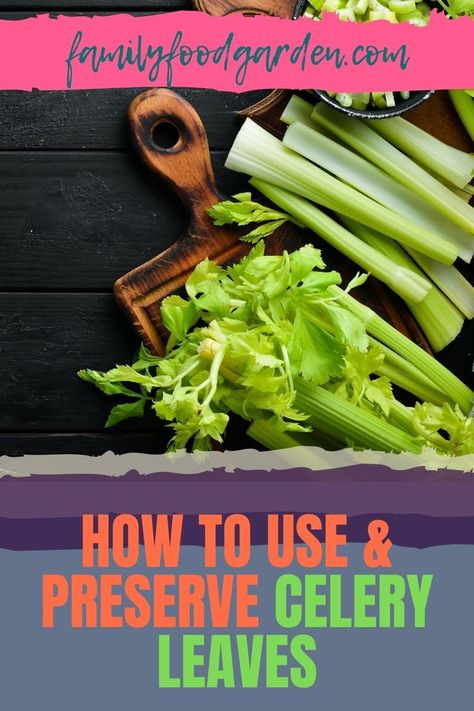 Dehydrated Celery Leaves, How To Use Celery Leaves, What To Do With Celery Leaves, How To Preserve Celery, Celery Leaf Recipe, Celery Leaves Recipe, Celery Leaves What To Do With, Preserving Celery, Preserve Celery