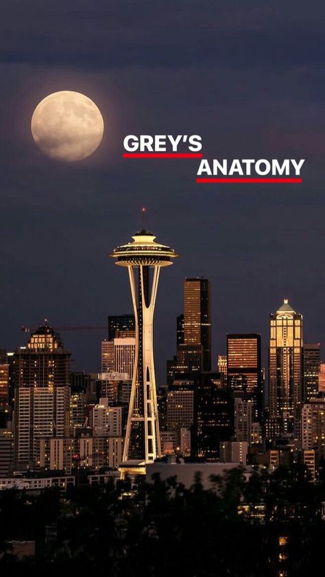 Greys Anatomy Lockscreen, Greys Anatomy Poster, Greys Anatomy Wallpaper, Seattle Wallpaper, Fancy Wallpaper, Gray's Anatomy, Anatomy Poster, Medical School Life, Grays Anatomy