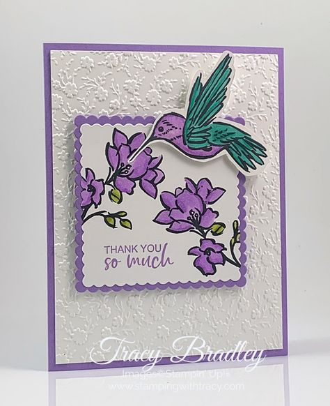 Stampin Up A Touch Of Ink, A Touch Of Ink Stampin Up Cards, Hummingbird Cards, Hummingbird Card, Thoughtful Expressions, Purple Cards, Homemade Birthday Cards, Humming Bird, Embossed Cards