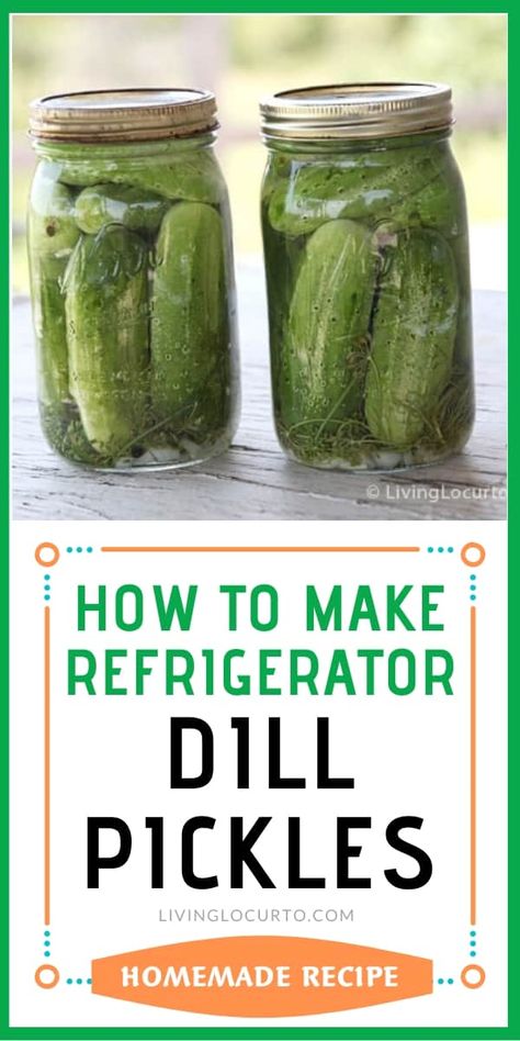 This is the BEST Refrigerator Pickles recipe! An easy old fashion family recipe for crunchy zesty dill pickles. No canning needed. You’ll never buy store bought dill pickles again! Easy Dill Pickle Recipe, Homemade Refrigerator Pickles, Refrigerator Dill Pickles, Making Dill Pickles, Refrigerator Pickles Dill, Refrigerator Pickle Recipes, Homemade Pickles Dill, Dill Pickle Recipe, Canning Pickles