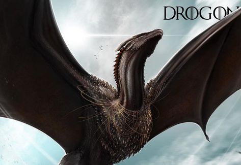 Seasmoke Dragon, Viserion Dragon, Drogon Viserion Rhaegal, Got Dragon Eggs, Drogon Game Of Thrones, Pet Anime, Dragon Anatomy, Aegon Targaryen, Game Of Thrones Dragons