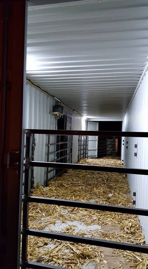 Shipping container repurposed Shipping Container Horse Shelter, Lambing Pens, Shipping Container Barn, Show Cattle Barn, Equine Stables, Livestock Barn, Livestock Shelter, Goat Shelter, Cattle Barn