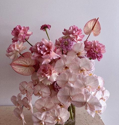 Pink And Green Hydrangea, Gala Aesthetic, Ikebana Arrangement, Green Hydrangea, Flower Therapy, Beautiful Bouquet Of Flowers, Pink Bouquet, Beautiful Flowers Pictures, Table Flowers