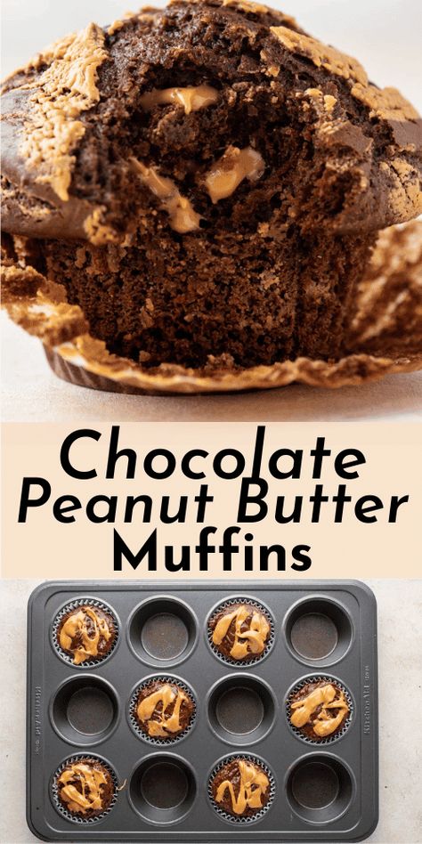 Peanut Butter Chocolate Muffins, Protein Powder Muffins, Peanut Butter Muffins Recipes, Reese's Recipes, Chocolate Peanut Butter Muffins, Butter Muffins, Chocolate Peanut Butter Recipes, Popular Desserts Recipes, Peanut Butter Muffins