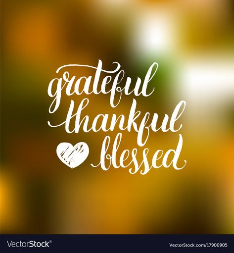 Blessed Quotes Thankful, Grateful Quotes, Barbie Quotes, Thankful Quotes, Bear Quote, Tuesday Quotes, Thank You Quotes, Happy Thanksgiving Quotes, Love Anniversary Quotes