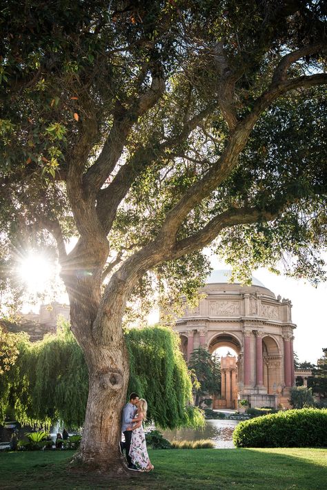 San Francisco Maternity Photos, Palace Of Fine Arts San Francisco Engagement, Palace Of Fine Arts San Francisco Photoshoot, Marina District San Francisco, San Francisco Maternity Shoot, Palace Of Fine Arts Maternity, San Francisco Family Photoshoot, San Francisco Proposal, Palace Of Fine Arts San Francisco Wedding