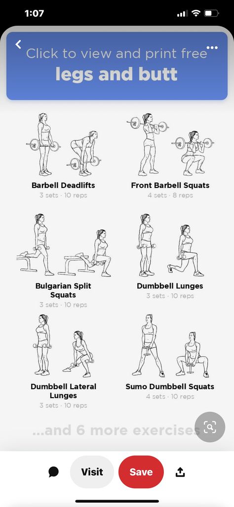 Dumptruck Workout At Home, Boflex Workouts For Women At Home, Glutes And Quads Workout At Home, Boflex Workouts, Quad Workout At Home, Glutes And Quads Workout, Dumbbell Squats, Quad Workout, Best Workout Machine