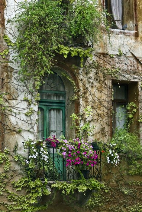 (13) balcony | Tumblr Colorful Doors, Spanish Architecture, Beautiful Windows, France Photos, The Balcony, Window Boxes, Beautiful Doors, Arbor, The Window