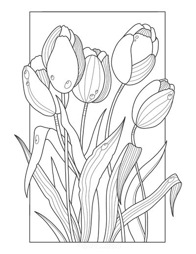 Tulip Vector, Flower Coloring Pages For Kids, Fleurs Art Nouveau, Drawing Dragon, Printable Flower Coloring Pages, Book Vector, Arte Doodle, Flowers Coloring, Siluete Umane