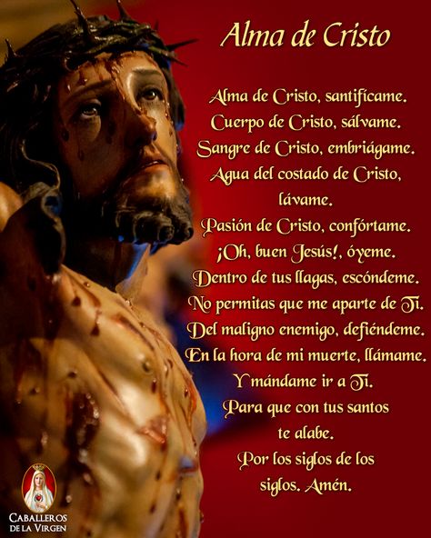 Alma de Cristo, santifícame. Cuerpo de Cristo, sálvame. Sangre de Cristo, embriágame. Agua del costado de Cristo, lávame. Pasión de Cristo, confórtame. ¡Oh, buen Jesús!, óyeme. Dentro de tus llagas, escóndeme. No permitas que me aparte de Ti. Del maligno enemigo, defiéndeme. En la hora de mi muerte, llámame. Y mándame ir a Ti. Para que con tus santos te alabe. Por los siglos de los siglos. Amén Everyday Prayers, Catholic Quotes, Catholic Prayers, God Prayer, Catholic Church, No Instagram, Jesus, Instagram, Santos