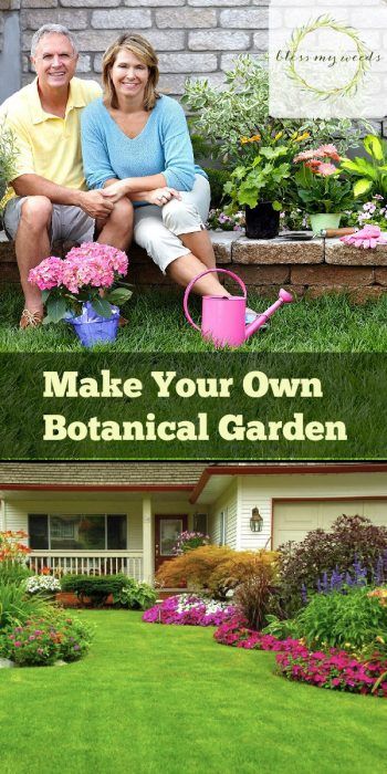 Diy Botanical Garden, Garden Tips And Tricks, Backyard Nursery, Garden Hacks Diy, Garden Botanical, Paper Lanterns Diy, Dog House Plans, Dog House Diy, Garden Steps