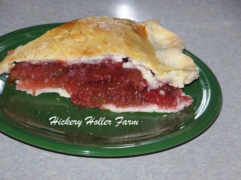 Hickery Holler Farm: Rhubarb Pie From Canned Rhubarb Strawberry Rubarb Pie, Canned Rhubarb, Rubarb Pie, Easy Strawberry Rhubarb Pie, Rhubarb Pie Filling, Shabby Chic Rugs, Easy Rhubarb Recipes, Rhubarb Recipes Pie, Pie Fillings