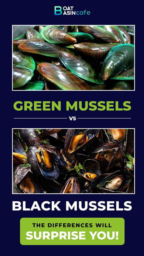 Green Lipped Mussels Recipes, Green Lip Mussels Recipes, Black Mussels Recipes, Yummy Nummies, Green Mussels, How To Cook Greens, Recipes Shrimp, Mussels Recipe, Green Lipped Mussel