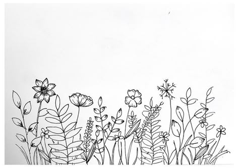 Pen Drawing Flower Simple, Simple Flower Pen Drawing, Wildflower Pen Drawing, Floral Drawings Easy, Flower Pen Doodles, Drawn Wild Flowers, Doodle Plants Flower, Wildflower Border Drawing, Wildflower Doodles Simple