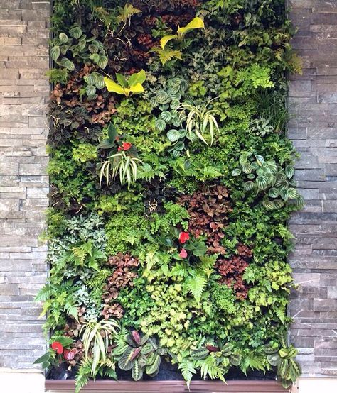 With dimensions of only 5x9ft, this handpicked vertical garden from Brooklyn would be a perfect fit to bring new energy into any apartment or home! Outdoor Green Wall, Diy Garden Landscaping, Vertikal Garden, Artificial Green Wall, Vertical Garden Indoor, Vertical Garden Design, Vertical Vegetable Garden, Garden Decoration Ideas, Vertical Garden Wall