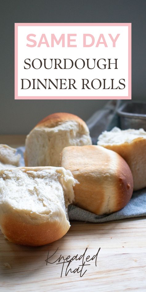 Sub Roll Recipe, Rolls Sourdough, Sourdough Dinner, Sourdough Dinner Rolls, Gluten Free Rolls, Quick Rolls, Sourdough Rolls, Sourdough Starter Discard Recipe, Easy Sourdough