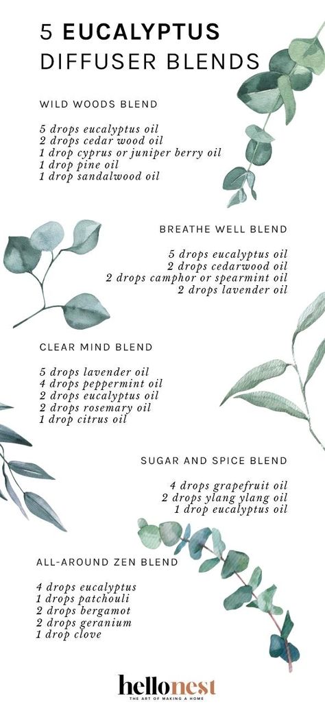 5 Eucalyptus Diffuser Blends To Enjoy All Season Long | Hello Nest Eucalyptus Blue Diffuser Blend, Camphor Diffuser Blends, Lavender Peppermint Eucalyptus Blend, Friday Essential Oil Blends, Air Freshener Diffuser Blends, White Tea Diffuser Blend, Eucalyptus Oil Blends, Eucalyptus Essential Oil Blends, Eucalyptus Diffuser Blends