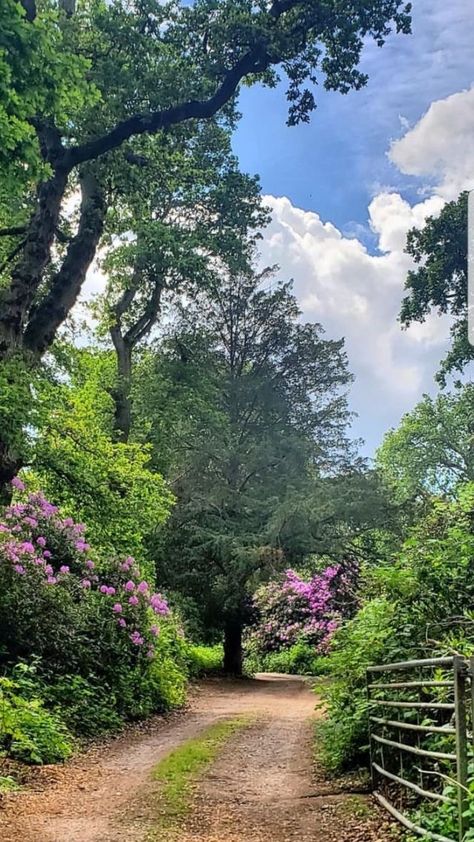 Sunny Garden, Landscaping Garden, Country Scenes, Gerson, Foto Art, Beautiful Nature Pictures, Garden Flowers, Country Road, Farm Life