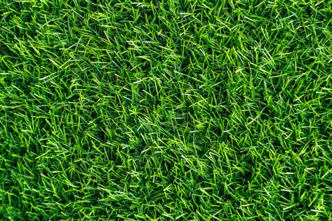 Pasto Natural, Artificial Grass Wall, Green Grass Field, Grass Wallpaper, Photo Mural, Door Murals, Custom Wall Murals, Grass Field, Stock Wallpaper