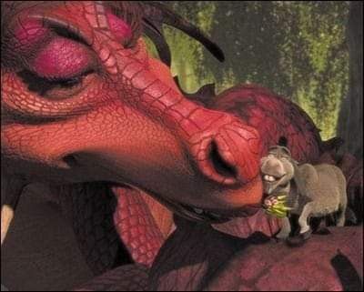 Donkey And Dragon, Shrek Dragon, Me And Who, Pretty Meme, True Memes, Beautiful Dragon, Me Too Meme, Life Memes, Love Gif