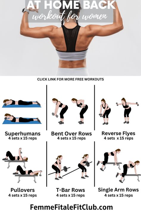 Dumbbell Back Workout, Toned Back, Back Workout At Home, Back Workouts, Workout Labs, Back Workout Women, At Home Workouts For Women, Physically Fit, Healthy And Fit