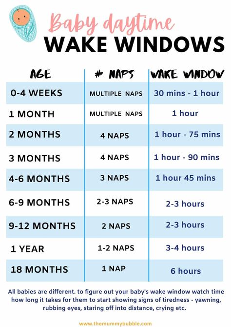 Baby's wake window by age chart guide Baby Wake Windows, Wake Windows, Baby Chart, Baby Guide, Baby Routine, Baby Information, Baby Schedule, Newborn Baby Tips, Baby Sleep Schedule