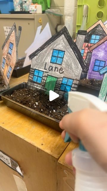 Bailey🌵 on Instagram: "Today we planted our seeds! All week we’ve learned about the plant life cycle and parts of a plant! So excited for them to grow their own! How cute are these displays my teaching partner found?!?😍 • • •  #teachersofinstagram #teachersfollowteachers #teacherlife #education #teachersofig #school #english #teachers #iteachtoo #learning #learnenglish #teaching #iteach #teacherspayteachers #teachergram #love #classroom #kindergarten #grammar #inspiration #englishteacher #aprenderingles #vocabulary #kids #student #elementaryteacher #iteachfirst #kindergartenteacherproblems #kinderteacherprobs" Plant A Seed Activity For Kids, Parts Of Plants Activities For Kids, Planting Activities For Preschool, Part Of Plants Activities, Plant Activities For Kindergarten, Plant Life Cycle Craft, Kindergarten Grammar, Classroom Kindergarten, Spring Arts And Crafts