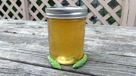 Spruce Tip Syrup, Spruce Tips, Citrus Desserts, Medical Herbs, Wild Edibles, Syrup Recipe, Food Categories, Dipping Sauce, Try It