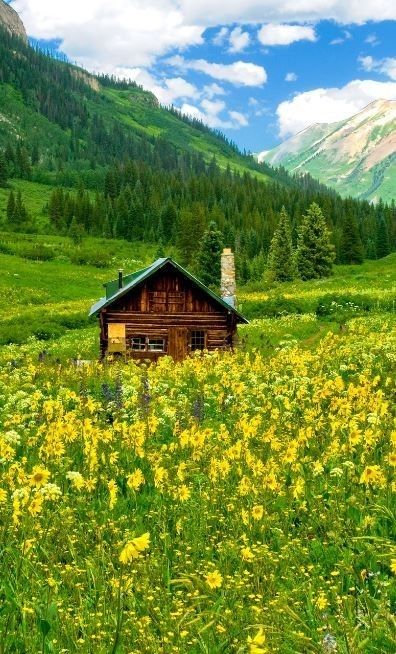 Cheap Vacation Destinations, Colorado Wildflowers, Nature Therapy, Destination Vacation, Puerto Rico Vacation, Little Cabin In The Woods, Cheap Vacation, Getaway Cabins, Landscape Art Painting