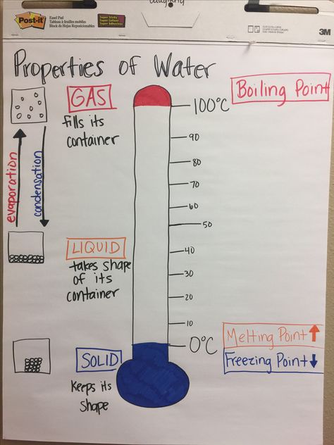 Properties of Water anchor chart Sink Or Float Anchor Chart, Sources Of Water For Kids Chart, Biology Notes Properties Of Water, Properties Of Water High School, Water Cycle Anchor Chart 2nd Grade, Elementary Science Experiments, Pre Algebra Worksheets, School Science Experiments, Science Lessons Middle School