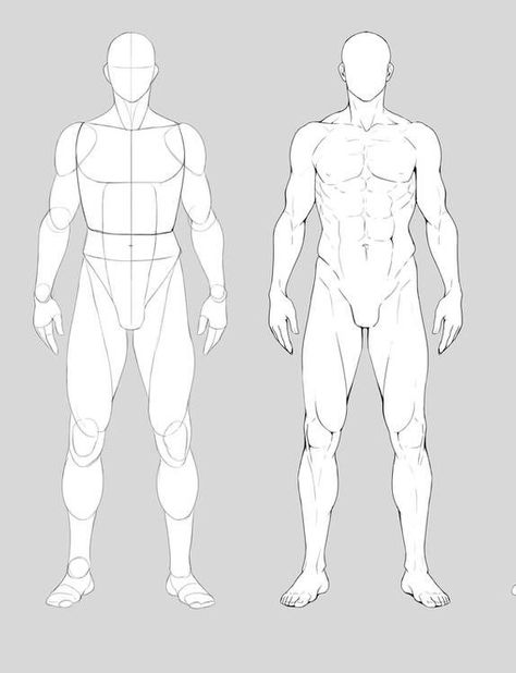 Whole Body Anatomy Drawing, Tall Male Body Reference Drawing, Male Figures For Drawing, Drawing Body With Shapes, Buff Man Body Reference, Anime Men Body Reference, Male Body Drawing Tutorial Anatomy, Muscular Drawing Reference Poses, Male Body Proportions Drawing