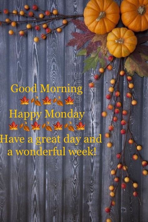 Monday Fall Morning Quotes, Fall Monday Morning Quotes, Monday Afternoon Quotes, Happy Monday Morning Inspiration, Fall Greetings, Monday Greetings, Good Morning Sunday Images, Inspirational Good Morning Messages, Good Monday Morning