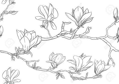 Branch With Flowers, Branch Drawing, Magnolia Tattoo, Magnolia Branch, Design Pattern Art, Tree Stencil, Magnolia Tree, Tree Images, Magnolia Trees