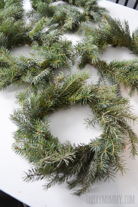 Make Real Evergreen Wreaths | The DIY Mommy How To Make A Wreath With Pine Branches, Mini Evergreen Wreath, Make A Wreath From Branches, Evergreen Wreaths For Christmas Diy, Wreath From Tree Trimmings, Christmas Wreaths Diy Evergreen, Step By Step Diy Crafts, Live Christmas Wreaths, Evergreen Wreaths