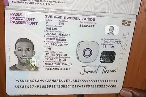 Ssn Card, International Passport, Passport Online, Driving License, How To Make Money, Buy Online, Money, Pins, Quick Saves