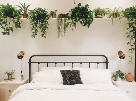 plant shelf will draw the eye upward -- mix fake with real! Long Shelf Above Bed, Grass Material, Shelf Above Bed, Bedroom Wall Decor Above Bed, Wall Decor Above Bed, Shelf Decor Bedroom, Decor Above Bed, Bed Wall Decor, Bed Shelves