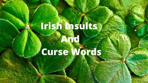 Irish Facts, Irish Curse, Word Replacement, Learning Irish, Seasonal Quotes, Irish Phrases, Irish Slang, Ireland Culture, Irish Things