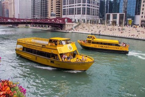 Washington Dc Attractions, Riverside Resort, Water Taxi, Sears Tower, Visit Chicago, Airlie Beach, Navy Pier, Chicago River, Chicago Travel