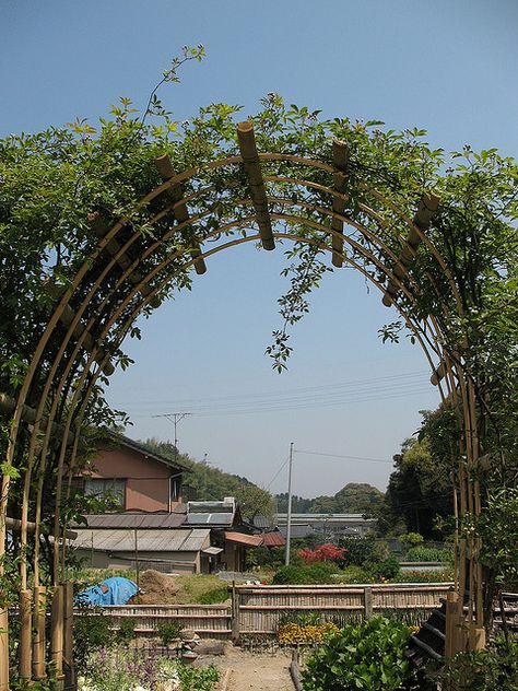 Bamboo trellis Bamboo Pathway, Bamboo Arbor, Bamboo Arch, Garden Archway, Garden Arch Trellis, Bamboo Diy, Flower Trellis, Arch Trellis, Bamboo Trellis