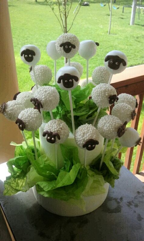 Sheep cake pops Sheep Food Ideas, Sheep Cake Pops, Sheep Cake Ideas, Community Dinner, Sheep Party, Easter Sheep, Eggs Decoration, Diy – Velikonoce, Sheep Cake