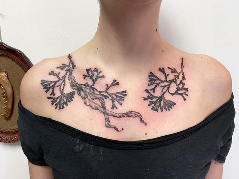 🌿Julia Hayes🌿 on Instagram: “KELP! Rockweed and Alaria kelp, found in southeast Alaska! I’ve been wanting to tattoo kelp for a while, beautiful flowing abstract forms -…” Kelp Arm Tattoo, Seaweed Leg Tattoo, Sea Kelp Tattoo, Kelp Forest Tattoo, Oceanic Tattoo, Kelp Tattoo, Seaweed Tattoo, Southeast Alaska, Becoming A Tattoo Artist