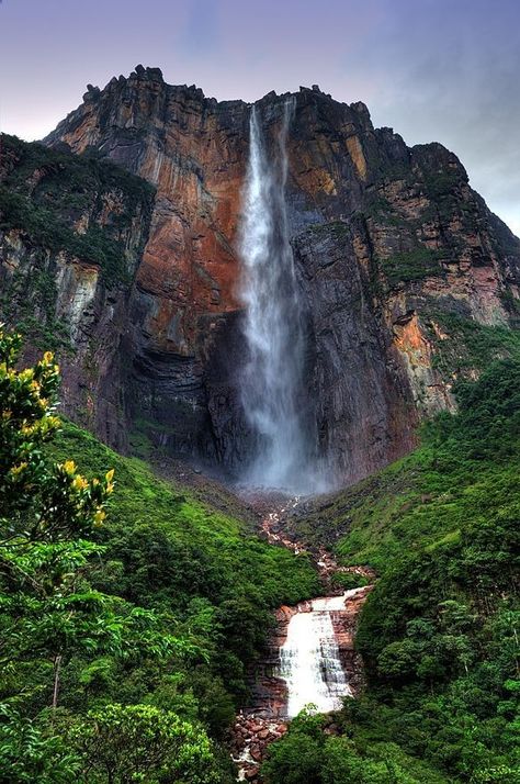 Venezuela Angel Falls Venezuela, Angel Falls, Shirakawa Go, Famous Waterfalls, Fairy Pools, Largest Waterfall, Hampi, Livingstone, Victoria Falls