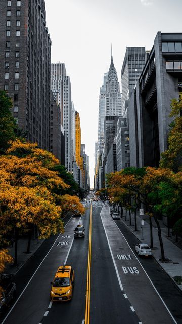 Scene Reference, City Morning, Spooky Halloween Pictures, Fall In Nyc, Usa Video, Incredible Photos, Nice Photos, Nyc Aesthetic, Nyc Life