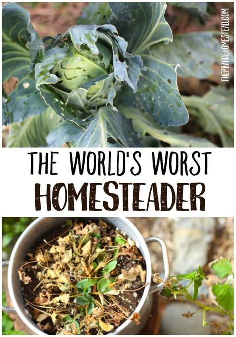 The World's Worst Homesteader Fantasy Homestead, Homestead Plans, Homesteading Inspiration, The Prairie Homestead, Homesteading Life, Prairie Homestead, Canning 101, Urban Homestead, Homestead Life