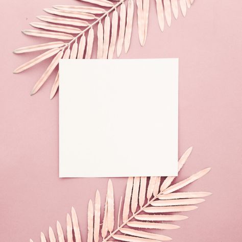 Pink palm leaves with blank frame on pin... | Free Photo #Freepik #freephoto #background #frame #tree #leaf Background With Frame, Pink Palm Leaves, Nice Backgrounds, Free Background Photos, Pink Backgrounds, Nice Background, Leaves Photo, Pink And White Background, Light Pink Background