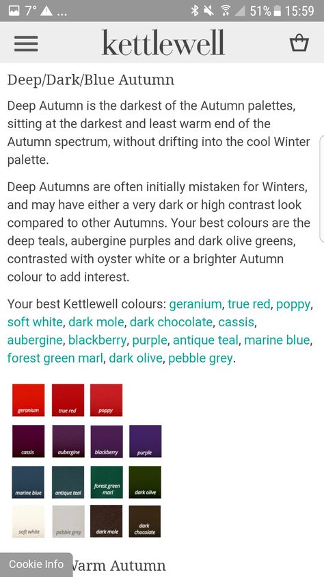 Deep Blue Autumn, Hoc Blue Autumn, House Of Color Blue Autumn Leaf, Blue Autumn Color Palette, Dark Blue Autumn, Hoc Autumn, Autumn Color Palette Fashion, Deep Autumn Color Palette, Blue Autumn