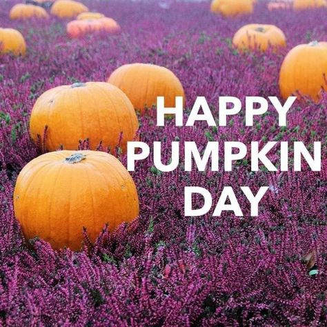 National Pumpkin Day, Pumpkin Day, Happy Pumpkin, National Days, Taking Over The World, Day Quotes, What Is Your Favorite, Enjoy It, Pumpkin Patch