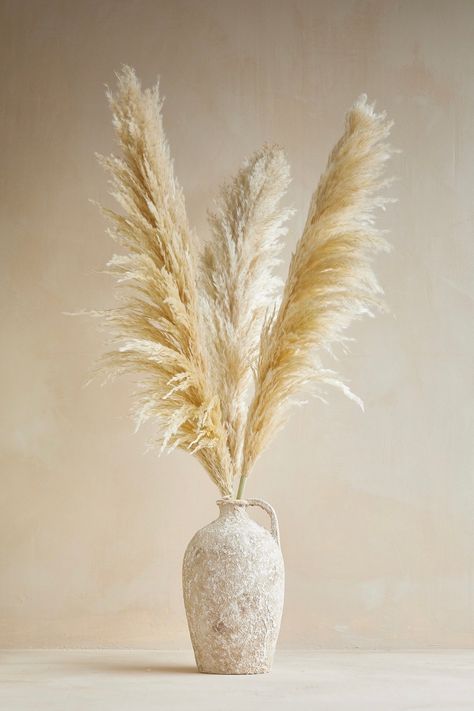 Fuego Dried Flower Set Dried Plant Decor, Pampas Grass Bathroom, Pampas Dried Flower Arrangement, Deco Pampa Vase, Fall Pampas Grass Decor, Dry Plant Decor, Dry Plants Decoration, Pampas Grass Floor Vase, Vase Pampa