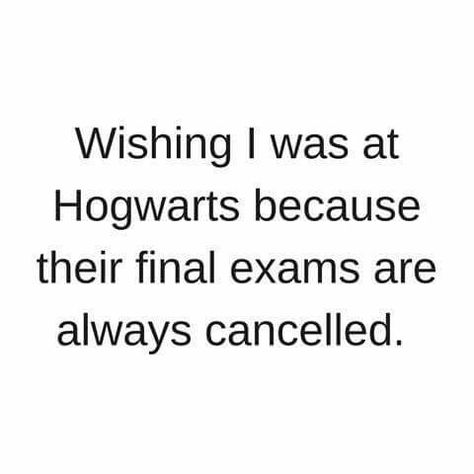 Final Exam Quotes Funny Studying, Final Exam Quotes, Finals Week Humor, Exams Memes, Studying Memes, Exams Funny, Exam Quotes, Exam Quotes Funny, Academic Goals